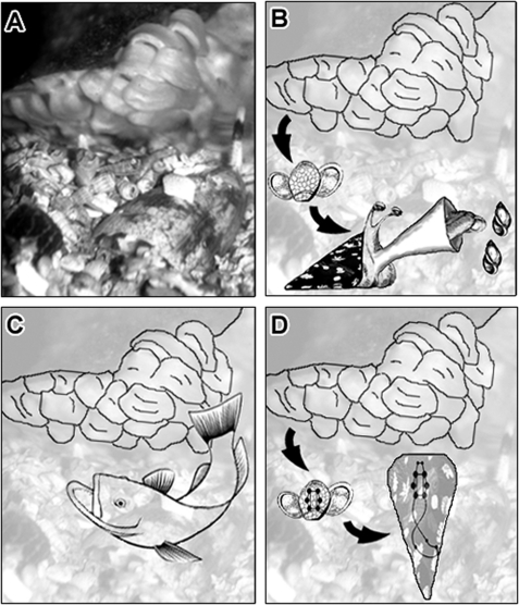 FIGURE 7.