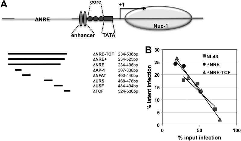 Fig 7