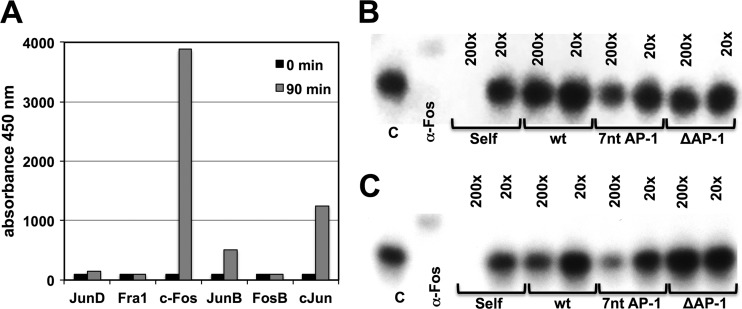 Fig 6