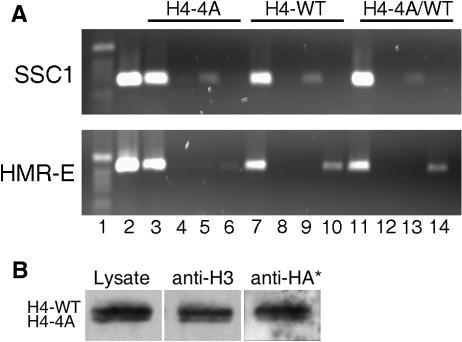 FIG. 8.