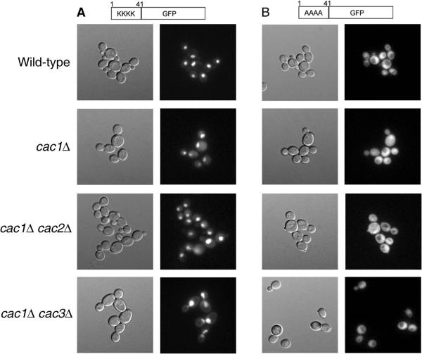 FIG. 7.