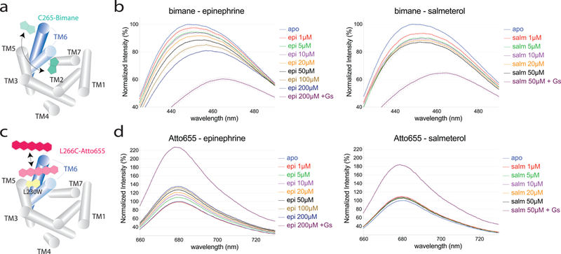 Figure 6: