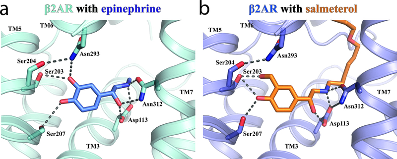 Figure 4: