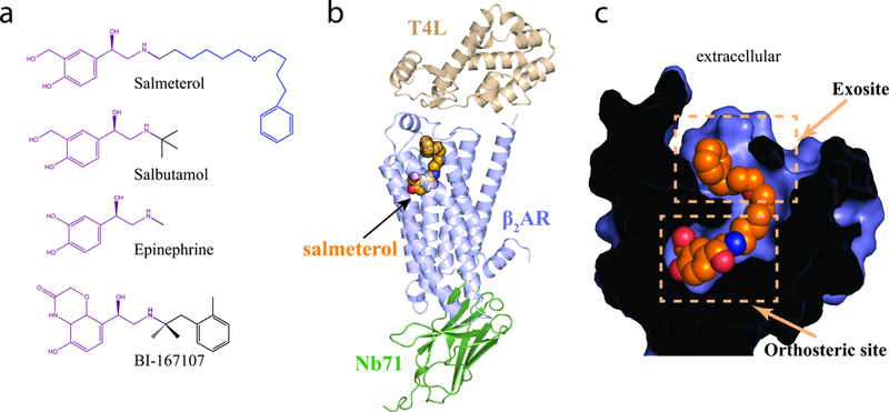 Figure 1: