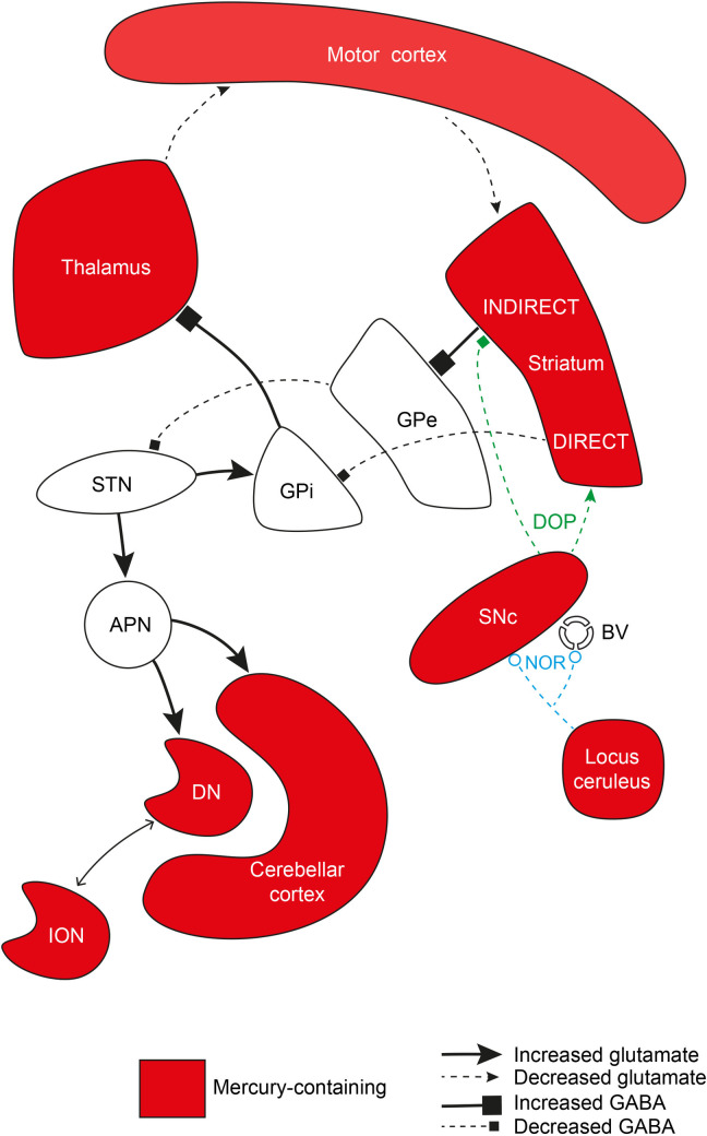 Fig 6