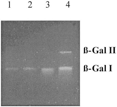 FIG. 5