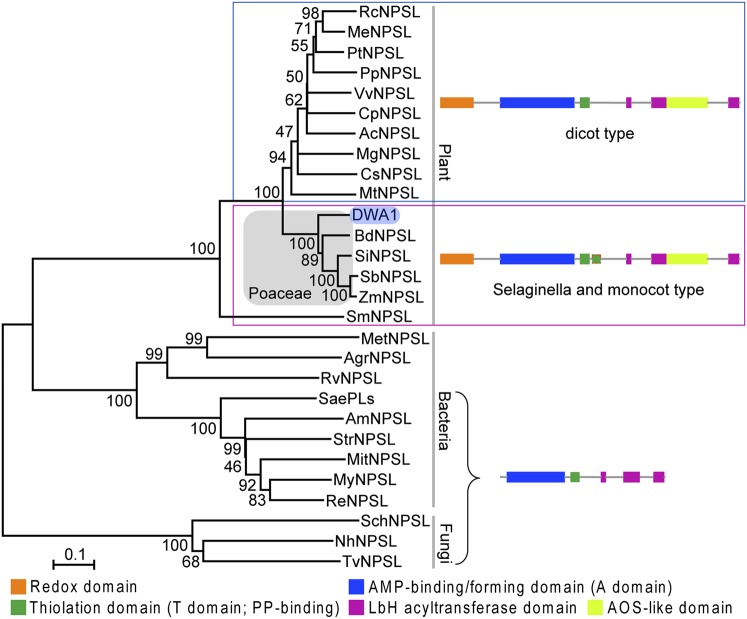 Fig. 2.