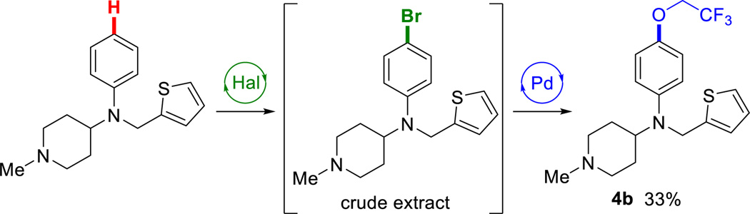 Scheme 2