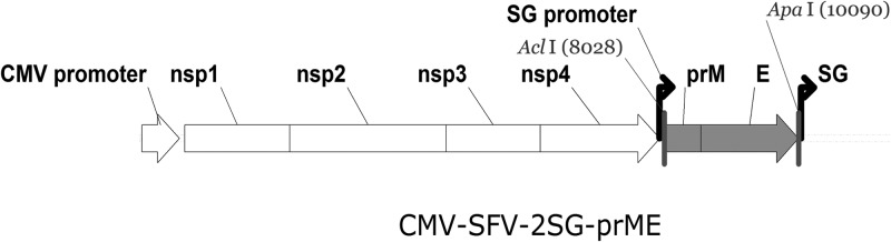 FIG 1