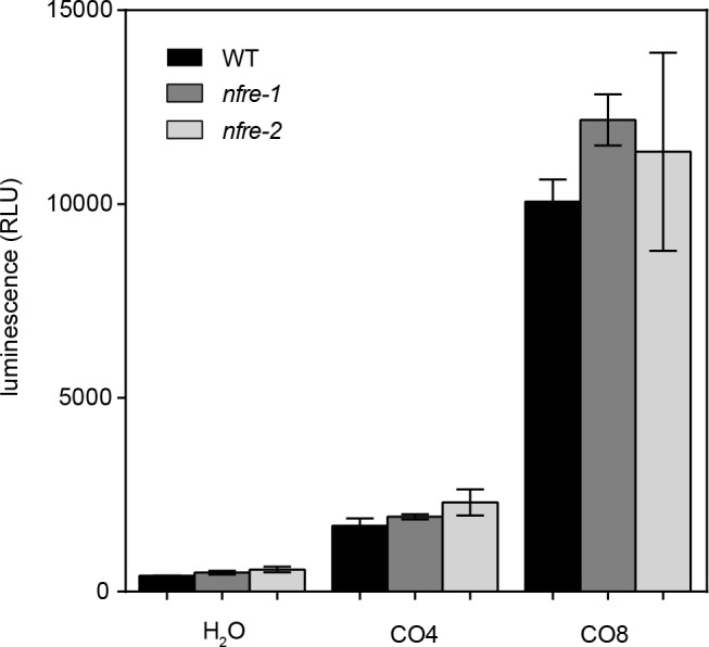 Figure 3—figure supplement 4.