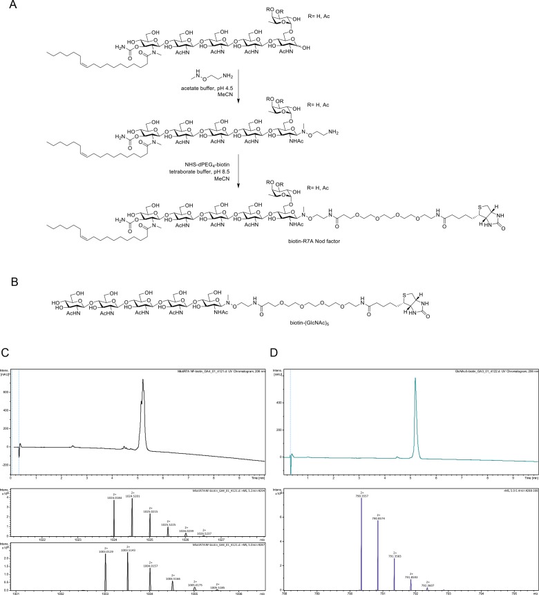 Figure 1—figure supplement 3.