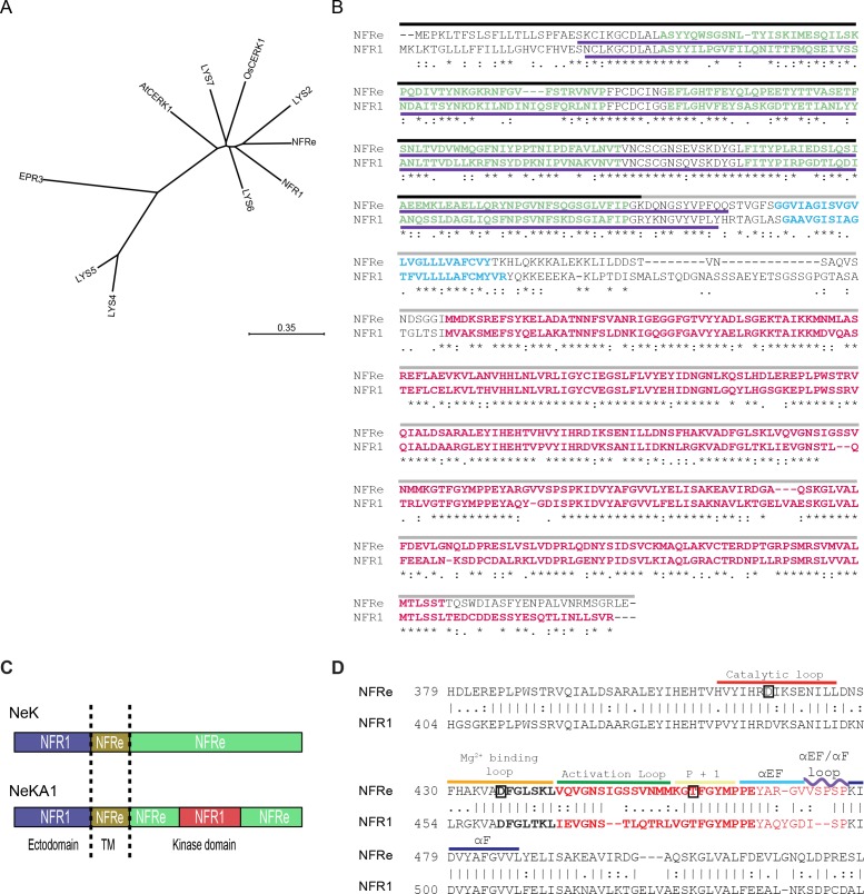 Figure 1—figure supplement 1.