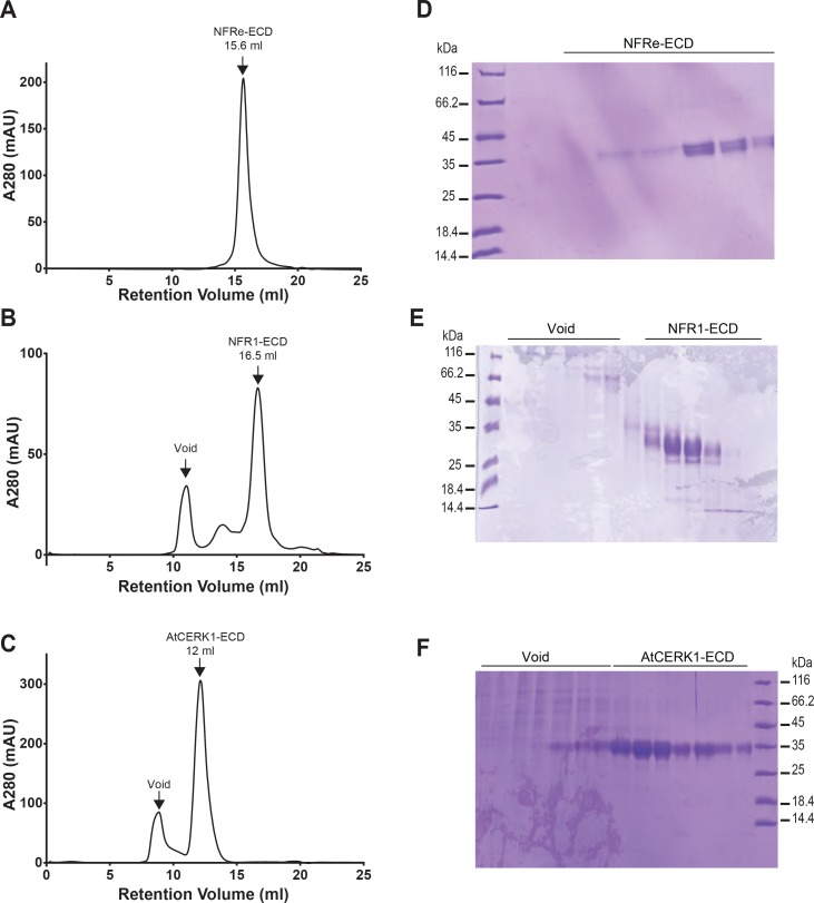 Figure 1—figure supplement 2.