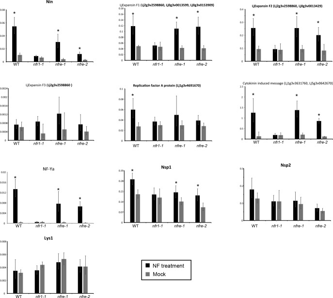 Figure 3—figure supplement 3.