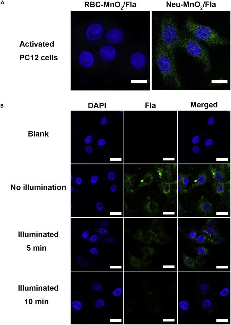 Figure 4