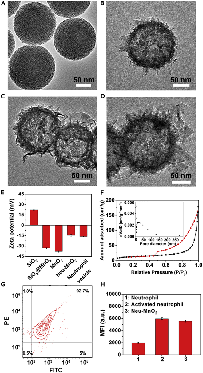 Figure 2