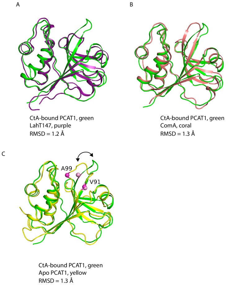 Figure 3—figure supplement 2.