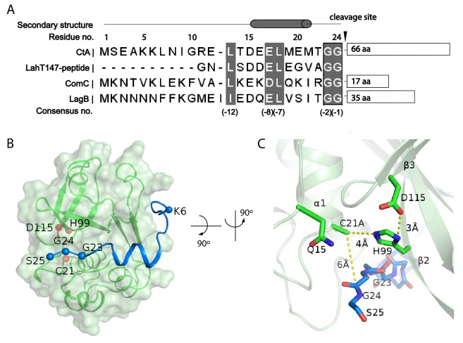 Figure 3.