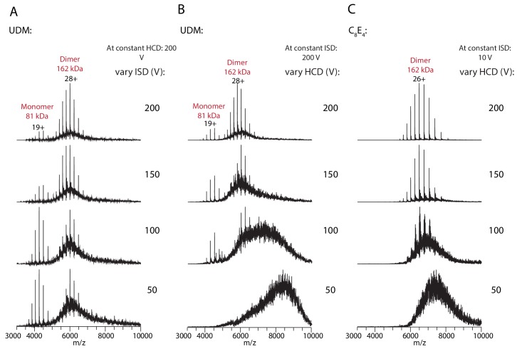 Figure 1—figure supplement 1.