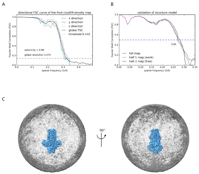 Figure 2—figure supplement 4.