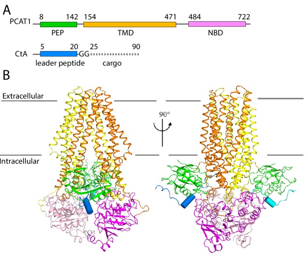 Figure 2.