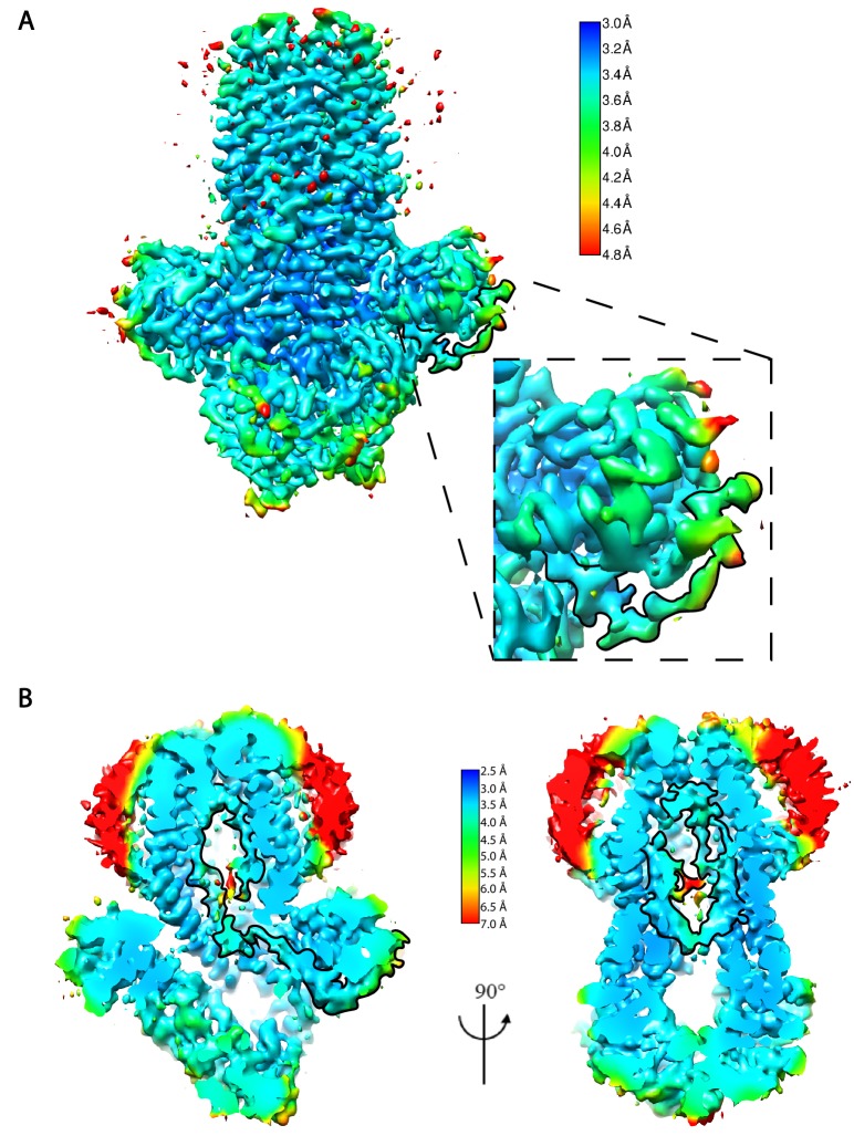 Figure 2—figure supplement 2.