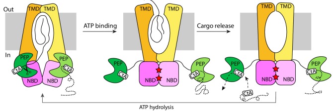 Figure 7.