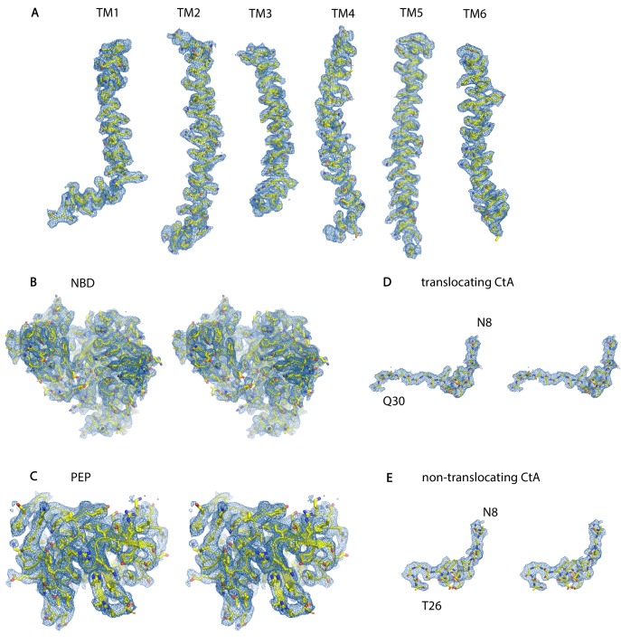 Figure 2—figure supplement 3.