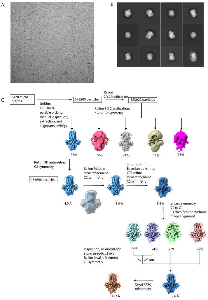 Figure 2—figure supplement 1.