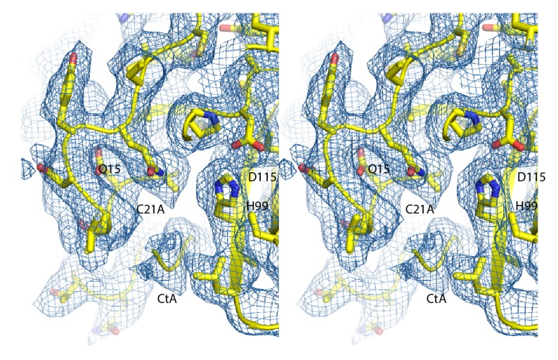 Figure 3—figure supplement 1.