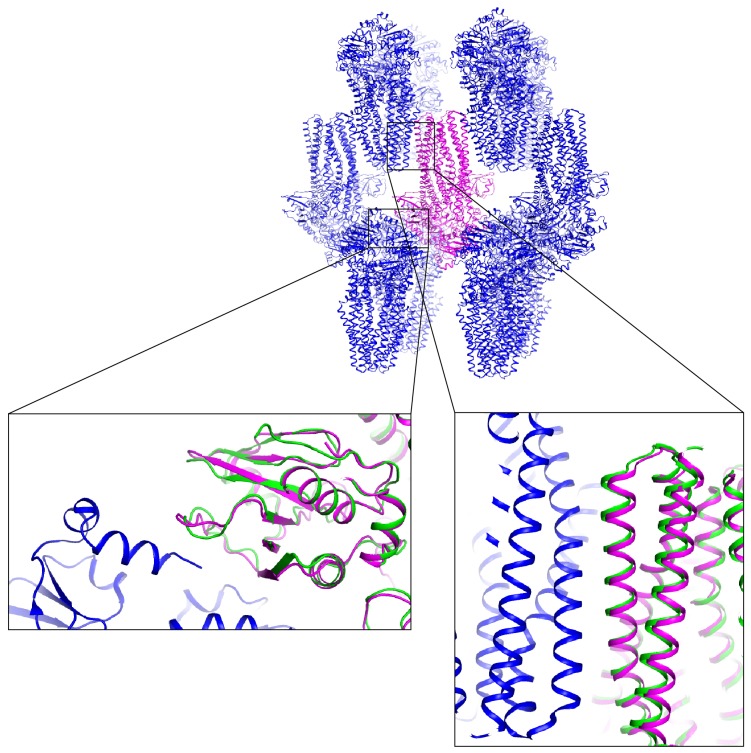 Figure 6—figure supplement 1.