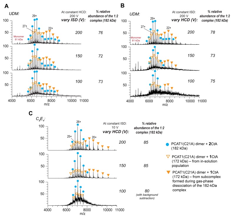 Figure 1—figure supplement 2.