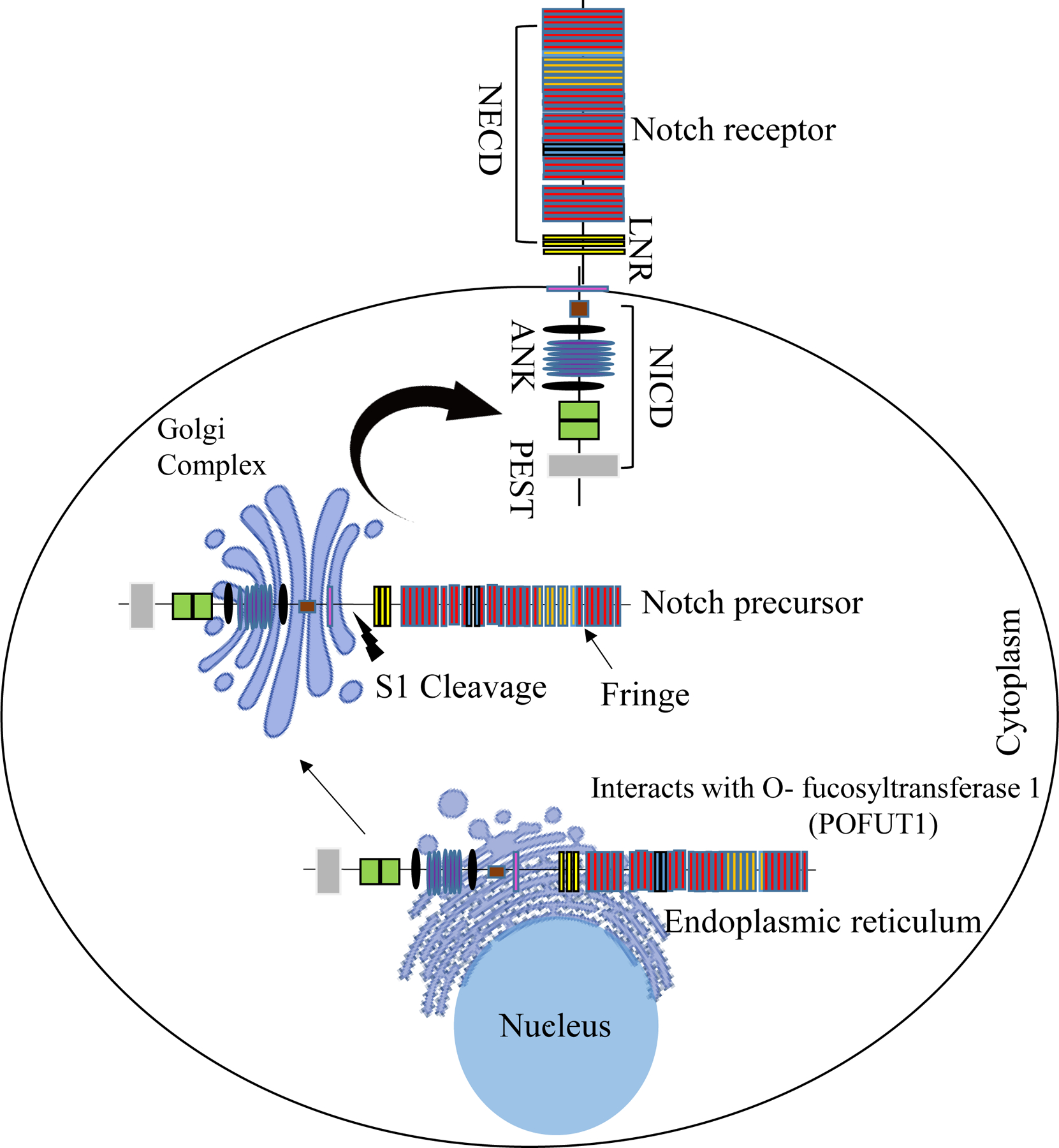 Figure 2: