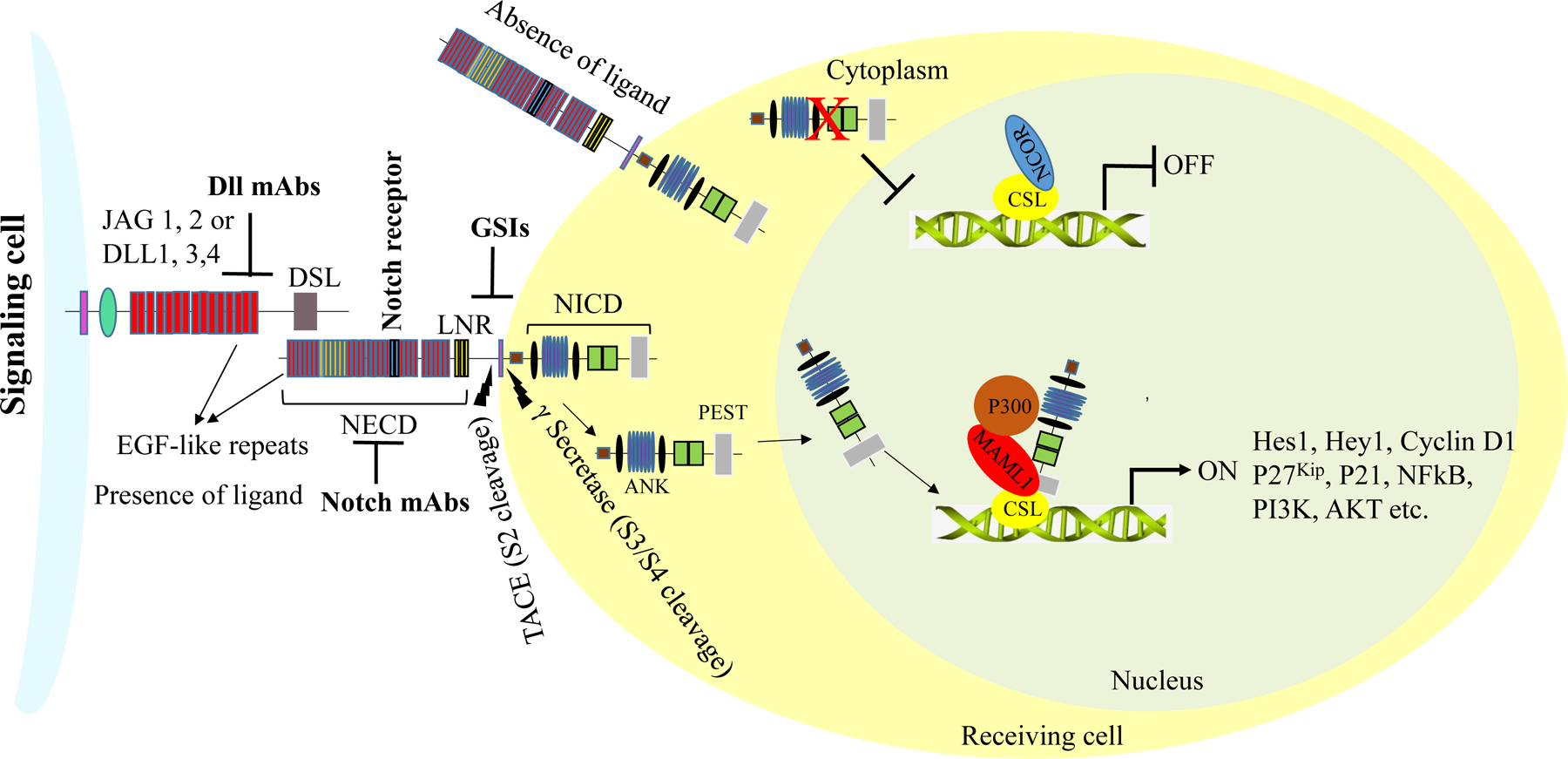 Figure 3: