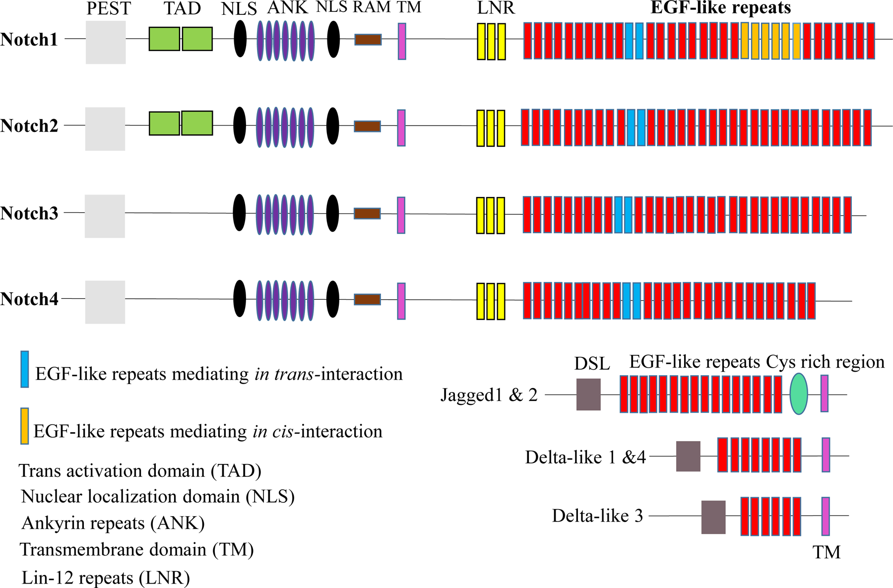 Figure 1: