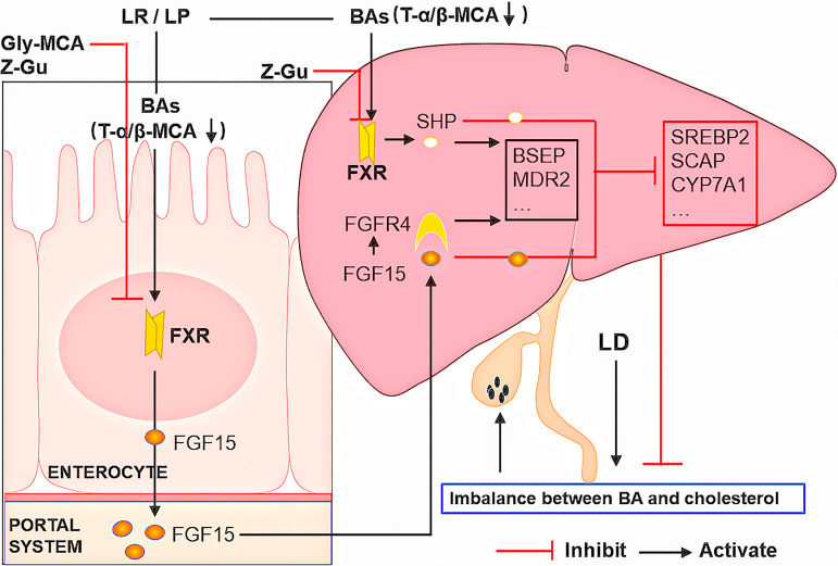 FIG 7