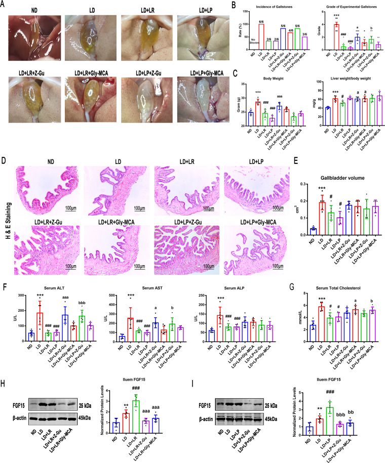 FIG 6