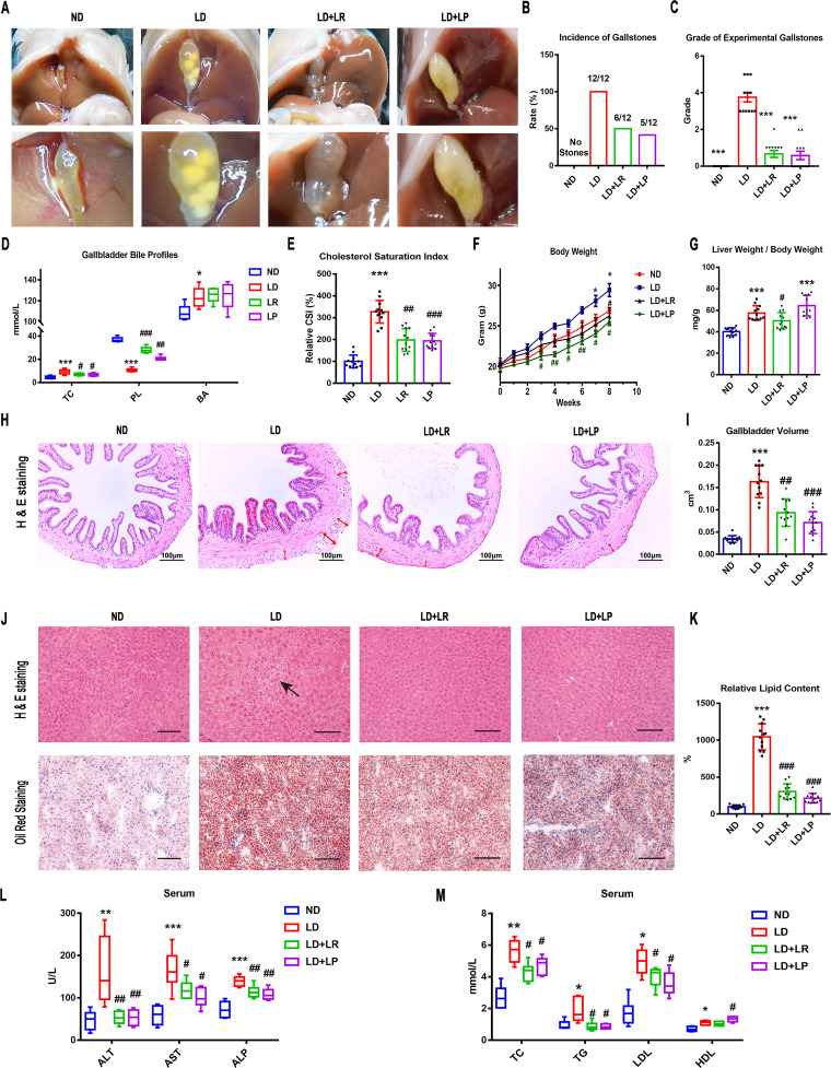 FIG 1