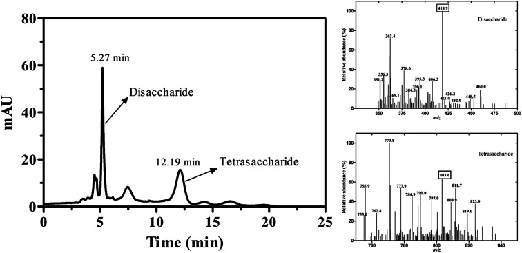 Fig. 4