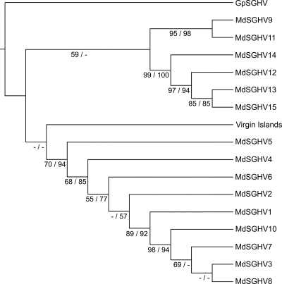 FIG. 1.