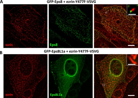 FIGURE 6: