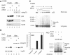 Figure 3a