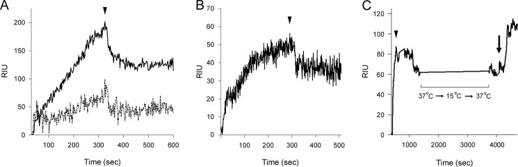 FIGURE 3.