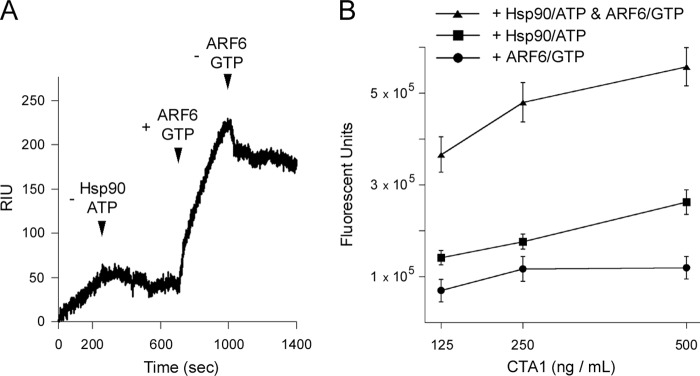 FIGURE 5.