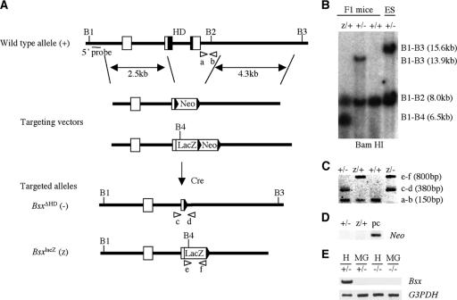 FIG. 1.