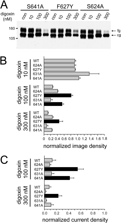 Fig. 7.