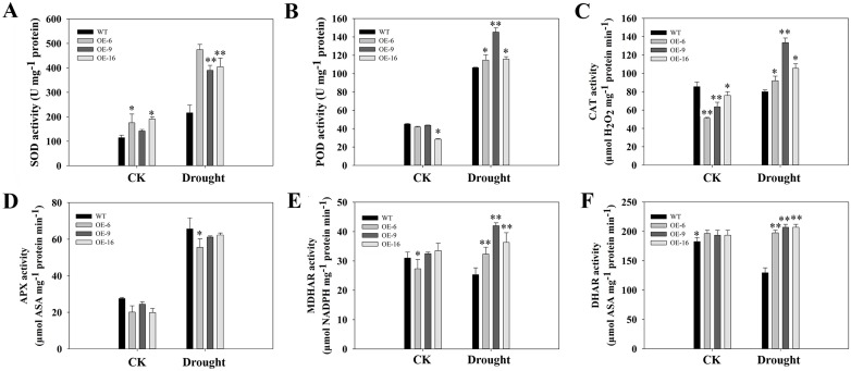 Fig 10