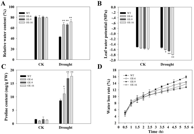 Fig 8