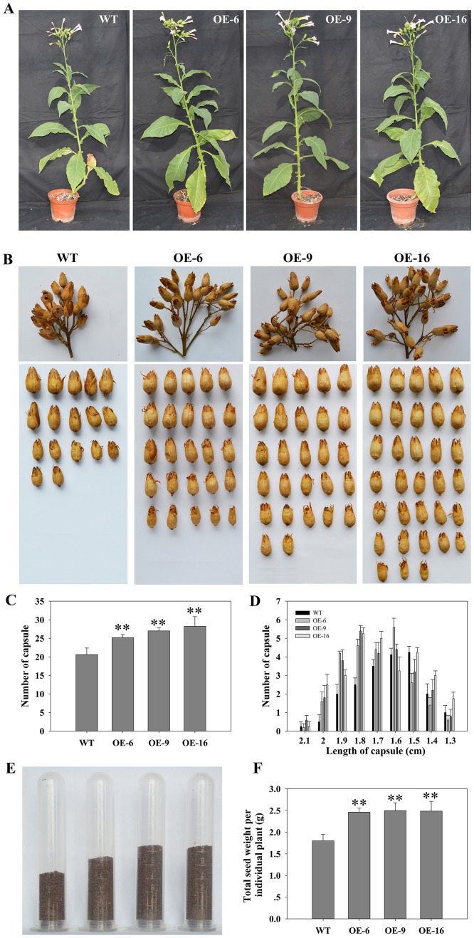 Fig 4