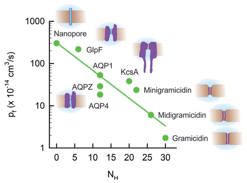 Fig. 8